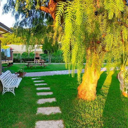 Bed & Breakfast Al Boschetto