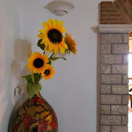 Bed and breakfast Al Boschetto