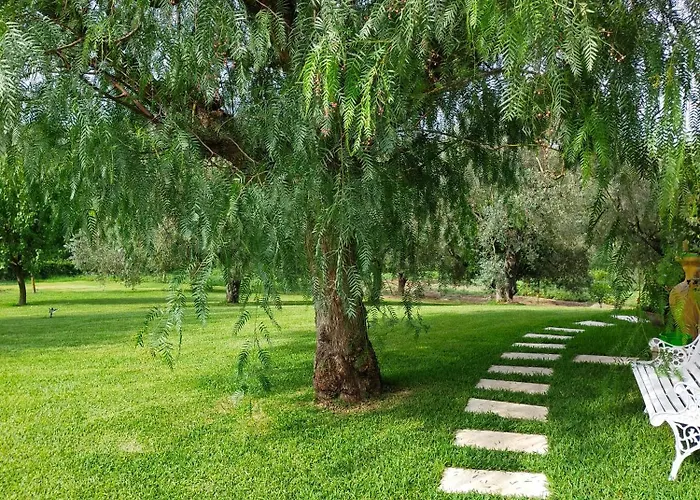 Al Boschetto Melizzano